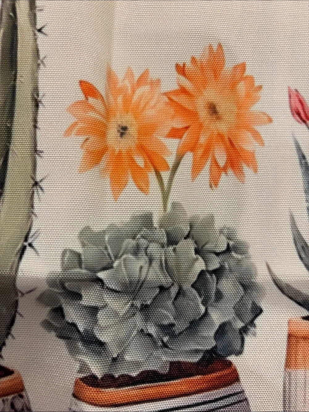Southwest Desert Botanical Potted Cactus Succulent Poly Canvas Tote Bag NWT